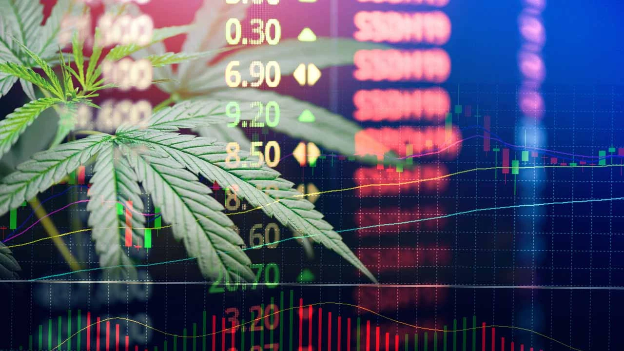 Key Marijuana Stocks and Companies in Europe