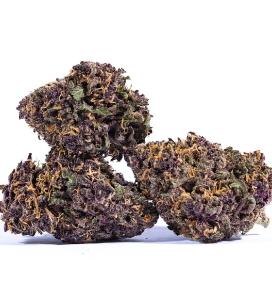 Purchasing Grape Ape Cannabis Strain Online In Augsburg Bavaria Germany