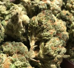 Blue Cheese Cannabis Strain For Sale Online In Osnabrück Lower Saxony Germany