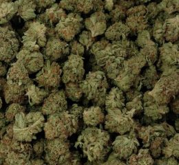 Bubba Kush Cannabis-Sorte zum Online-Verkauf in Wien Österreich