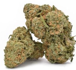 Durban Poison Cannabis Strain For Sale Online In Kiel Schleswig-Holstein Germany